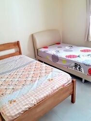 Blk 893A Tampines Avenue 8 (Tampines), HDB Executive #519064981